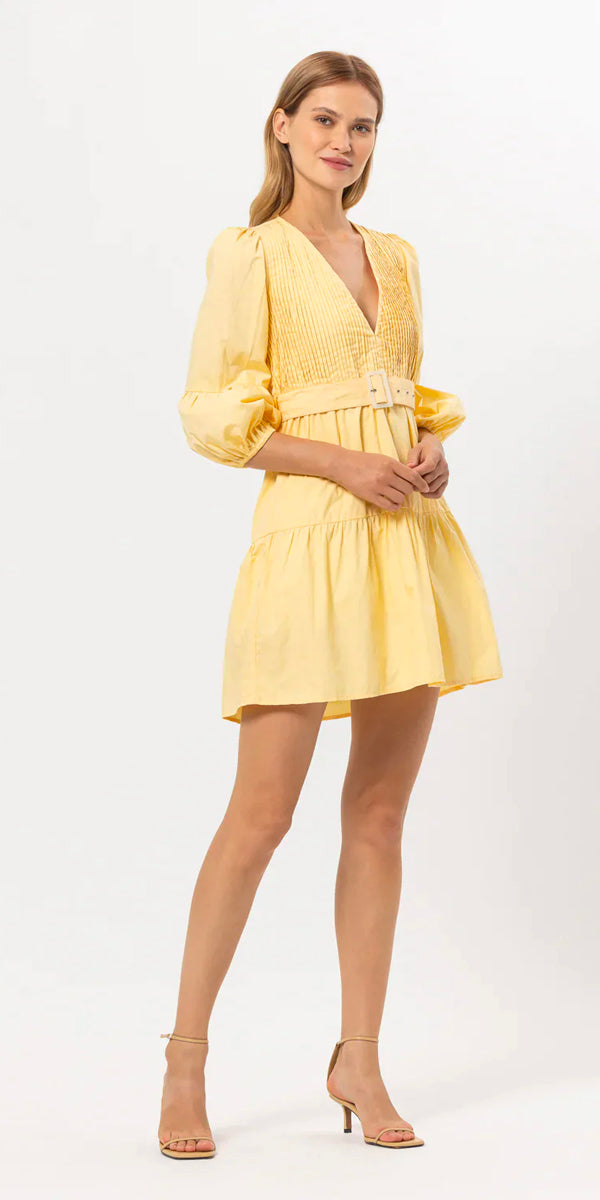 Lusana Flora Pintuck Mini Dress in Honeycomb
