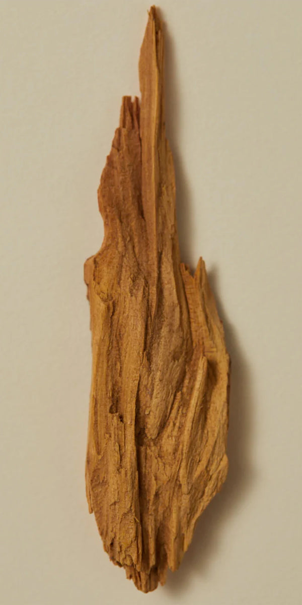 Ayu Incense in Sandalwood